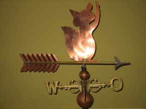 Motiv Eichhörnchen